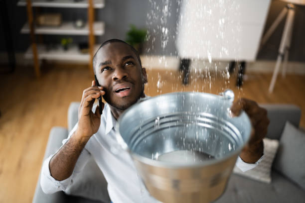 Best Fire Damage Restoration  in Auburndale, FL