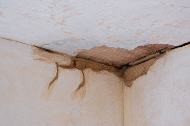 Best Emergency water damage restoration  in Auburndale, FL