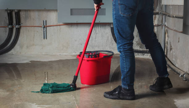 Best Water damage restoration mold remediation  in Auburndale, FL