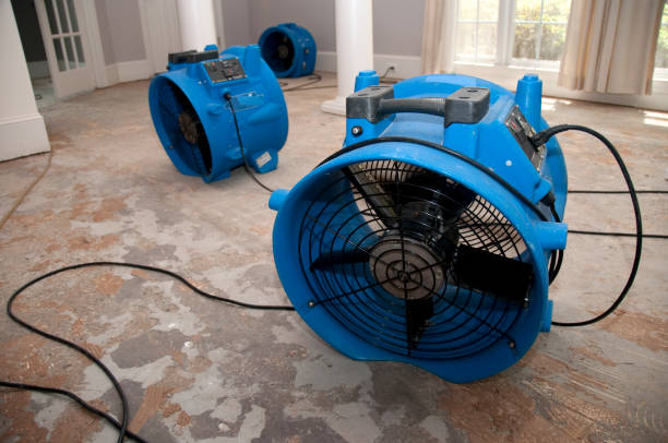 Best Water damage restoration near me  in Auburndale, FL