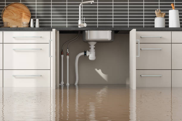 Best Carpet water damage restoration  in Auburndale, FL