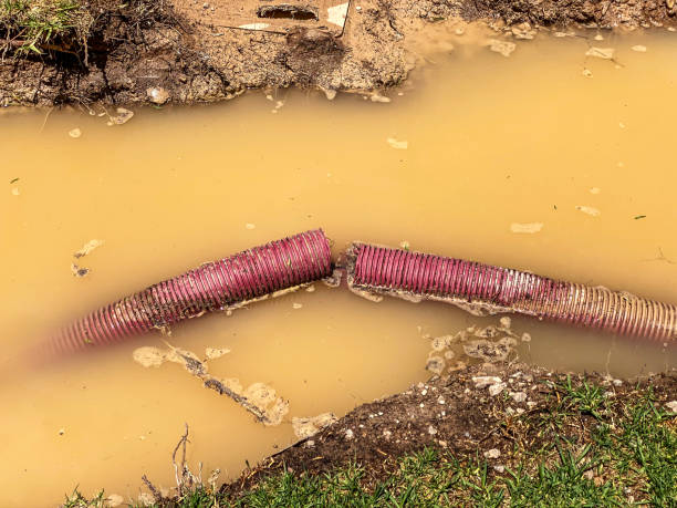 Best Water damage restoration near me  in Auburndale, FL